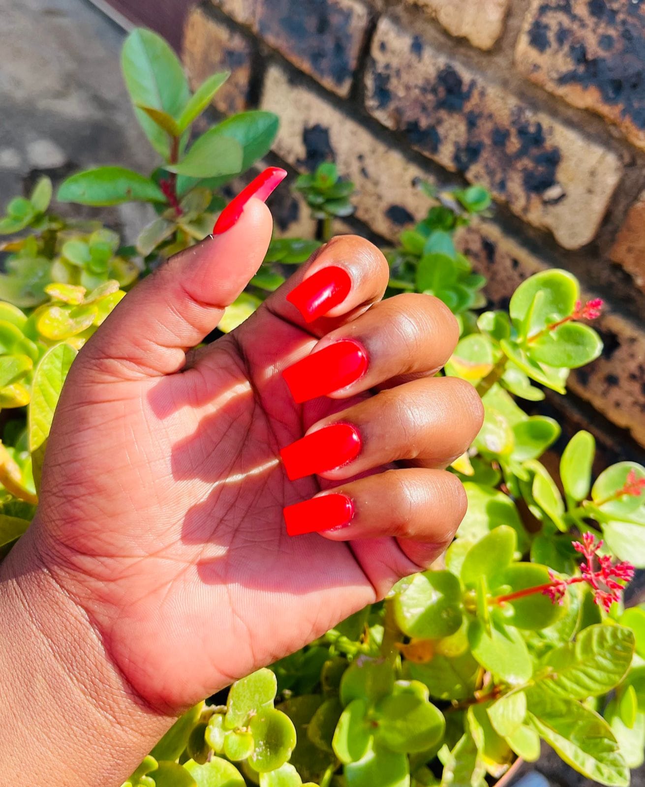 WhatsApp Image 2025-04-16 at 14.54.24